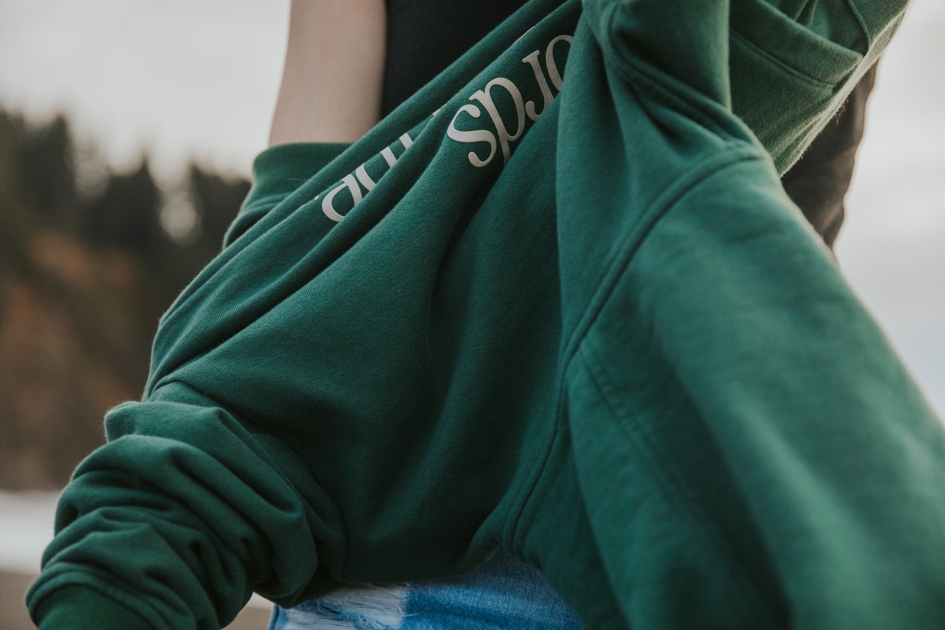 Words Cant Describe Green Hooded Sweatshirt, cozy comfort for anywhere vibes